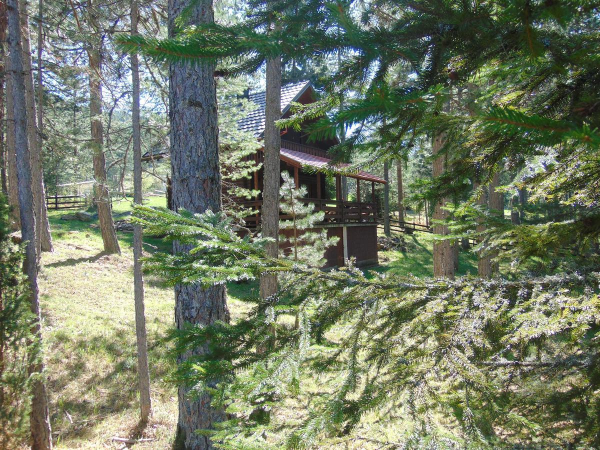 Tarski Dom Zaovine Екстериор снимка