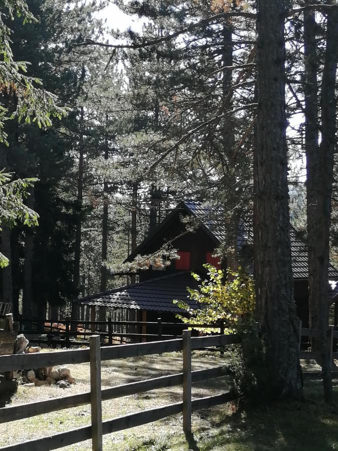 Tarski Dom Zaovine Екстериор снимка