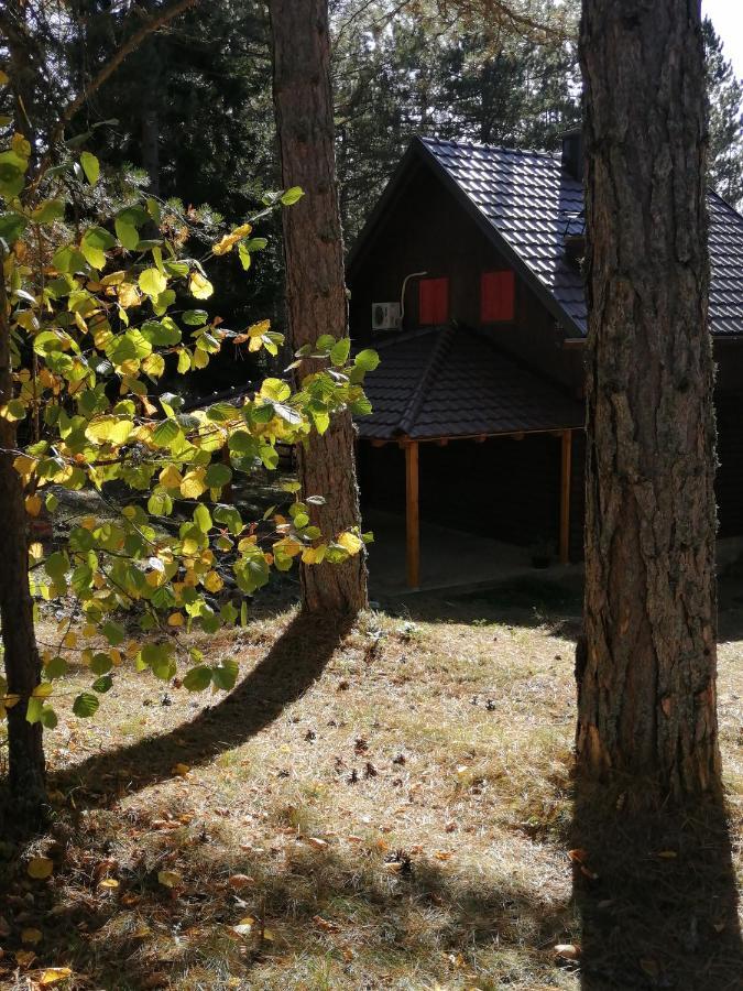 Tarski Dom Zaovine Екстериор снимка